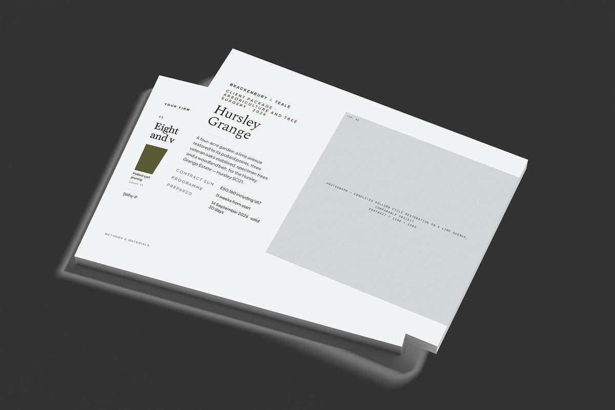 Tree Surgery Client Package, Slate colourway, stacked books mockup
