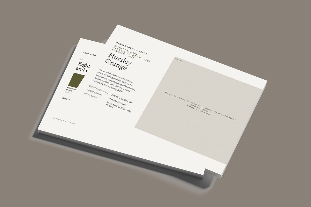 Tree Surgery Client Package, Standard colourway, stacked books mockup
