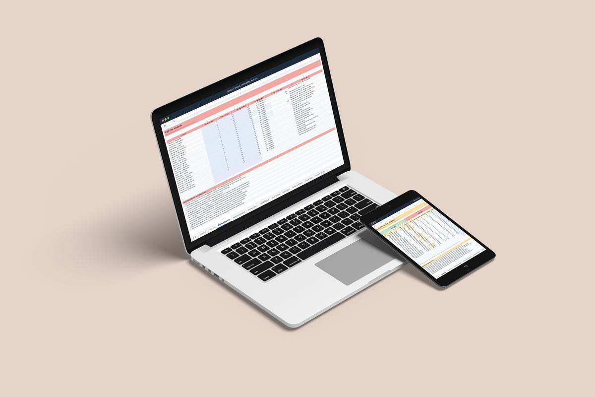 Service Contract Profitability Excel template on a MacBook and iPad, second view